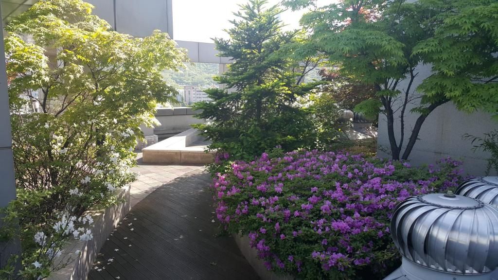 Апарт-отель «Hyundai Residence» фото 6