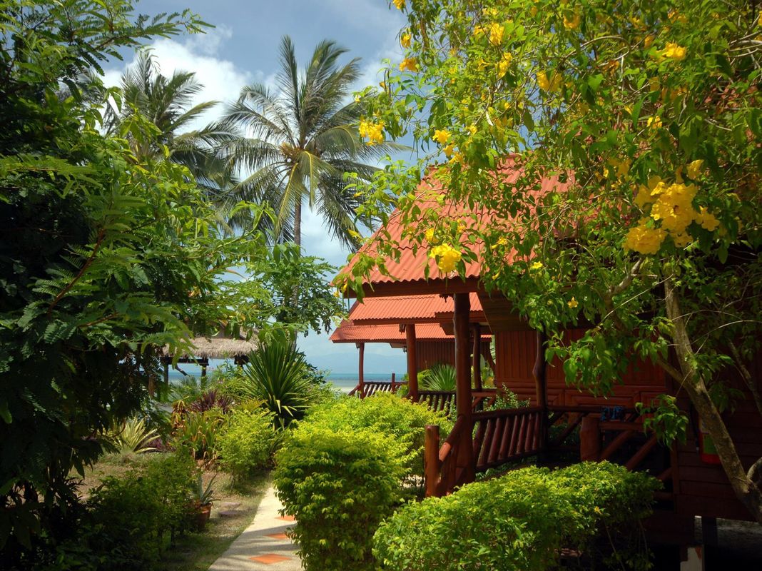 Morning Star Resort фото 10