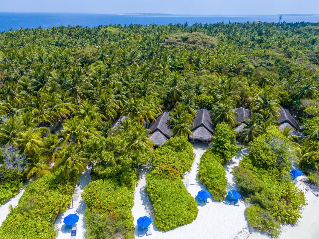 Dusit Thani Maldives фото 7