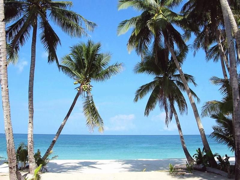 Jaz Amaluna Beach Resort (Adults Only) фото 54
