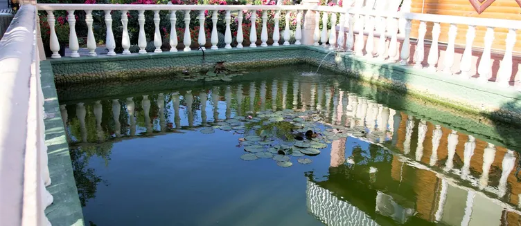 Фото отеля Альтернатива