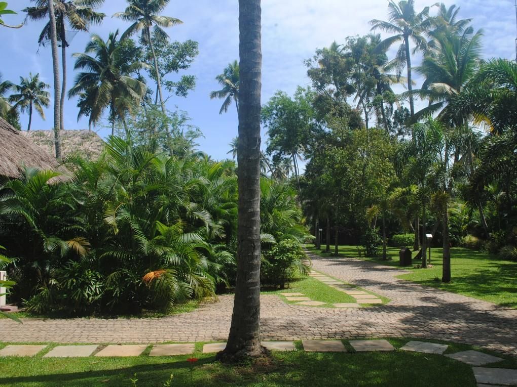 Carnoustie Ayurveda & Wellness Resort фото 21