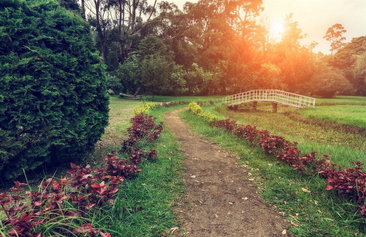 The Hill Club Sri Lanka фото 3