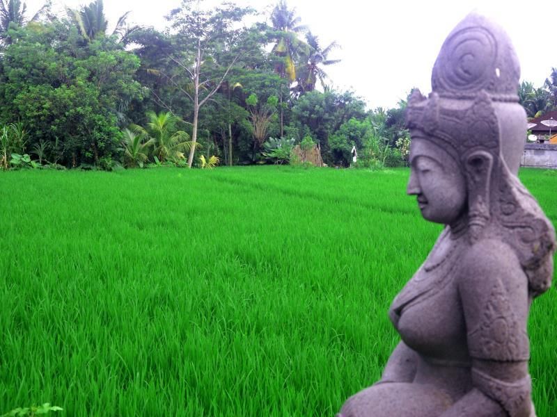 Plataran Ubud Hotel & Spa фото 39