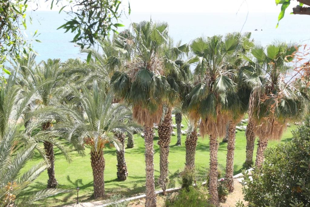 Ascos Coral Beach Hotel фото 35