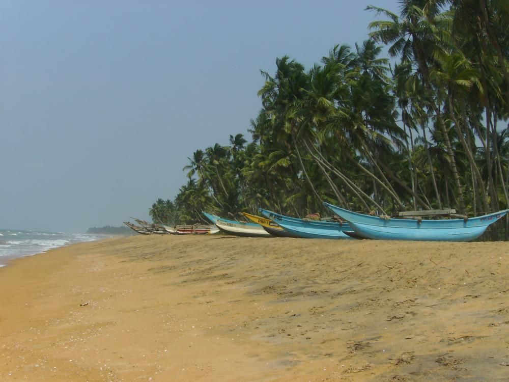 Clove Beach (Adults Only) фото 49
