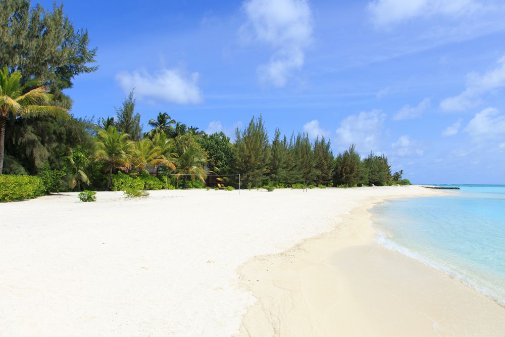 Summer Island Maldives фото 46