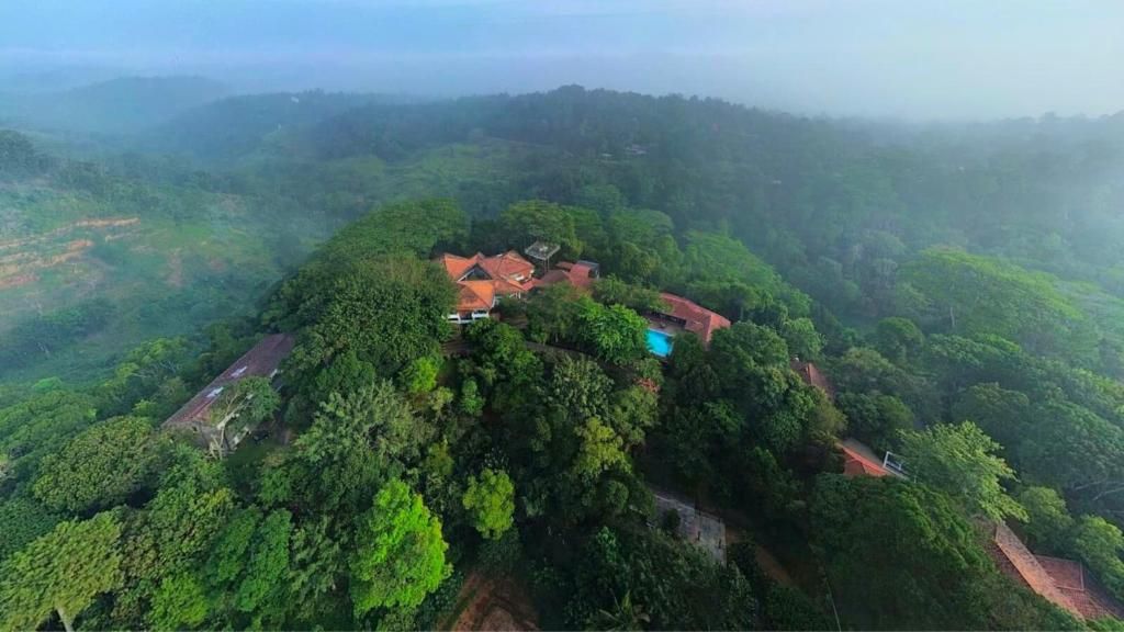 Tree of Life Nature Resort фото 4