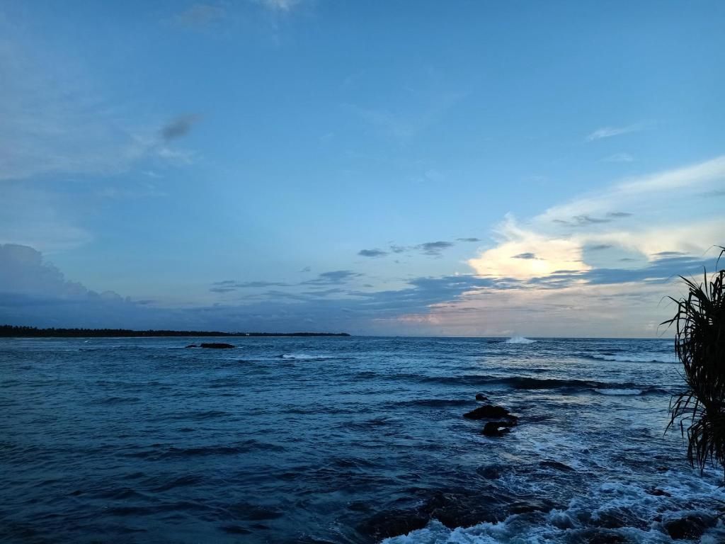Samudra Beach Resort фото 35