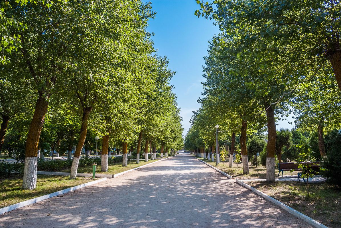 Volna Sea Village фото 12