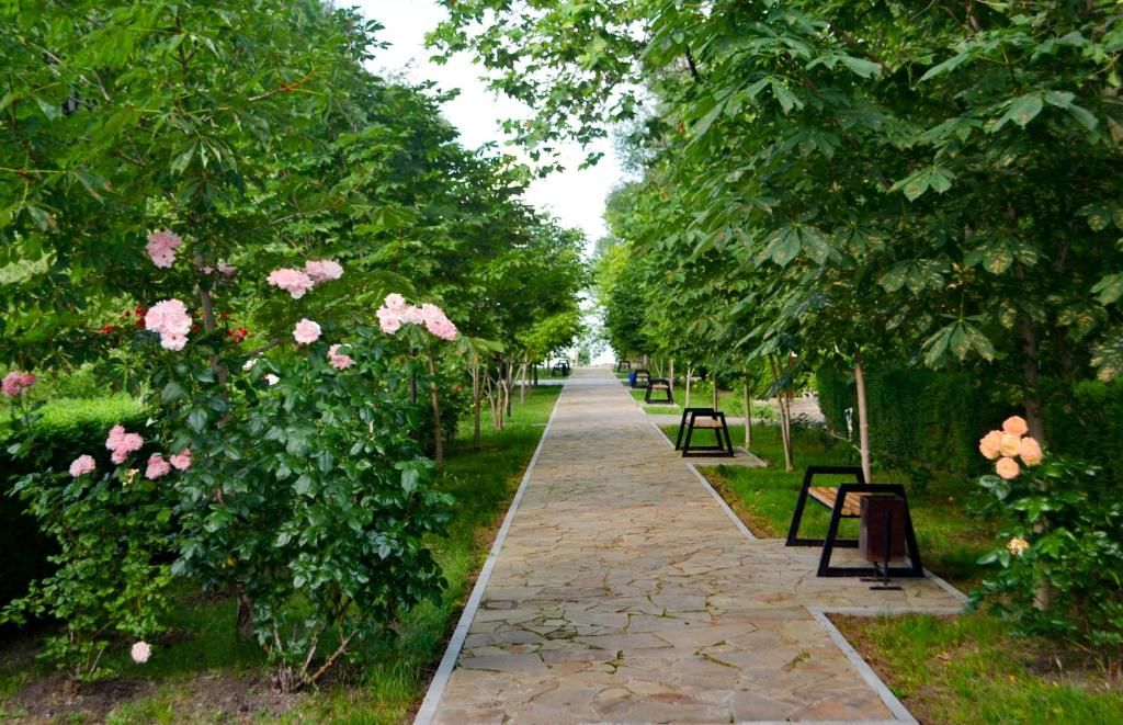 Парк-отель «Южный Берег» фото 37