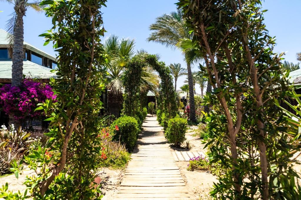 Abu Dabbab Lodge фото 28