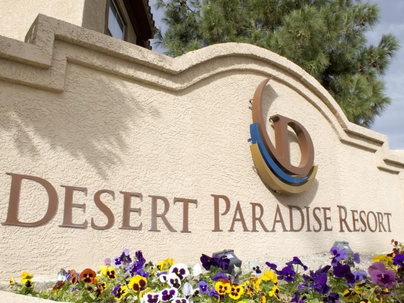 Desert Paradise Resort фото 11