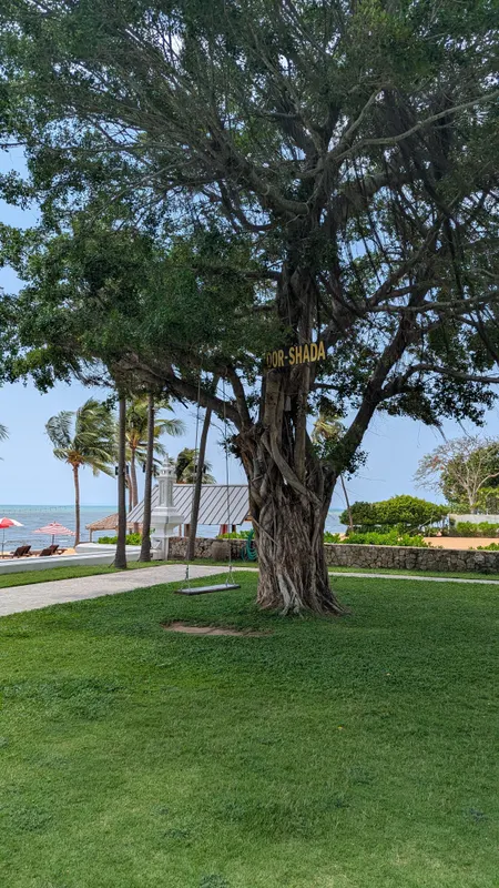 Dor-Shada Resort by The Sea фото 34