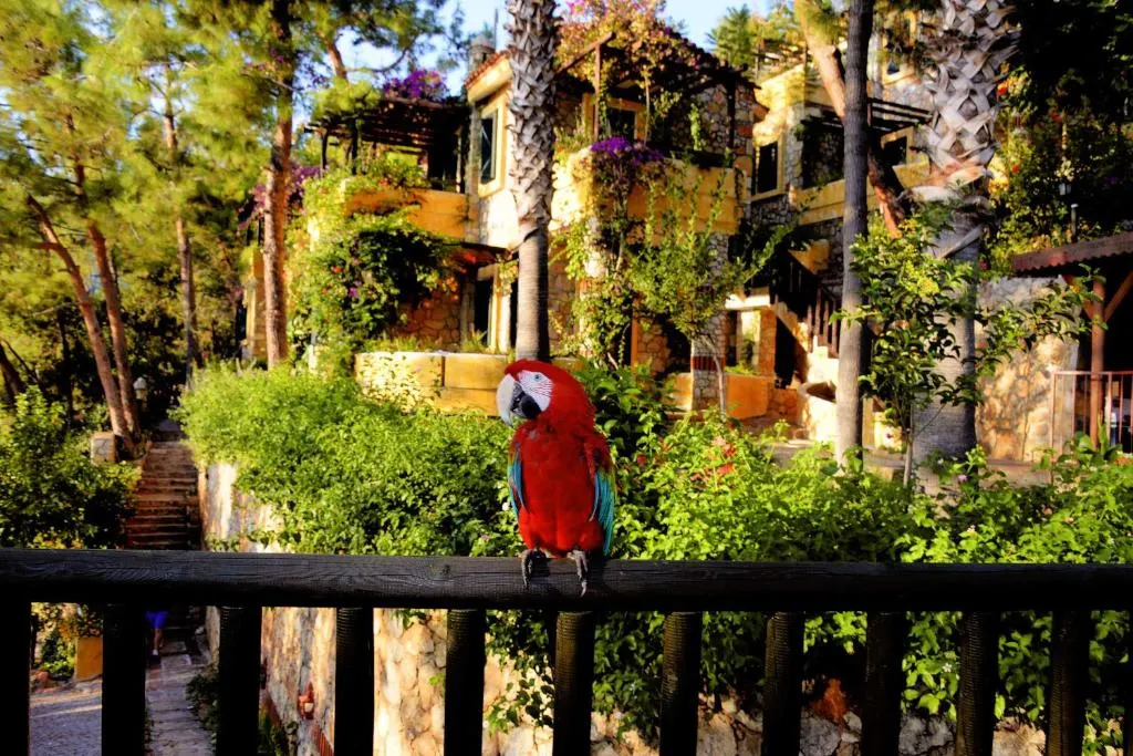 Symbola Oludeniz Beach Hotel фото 60