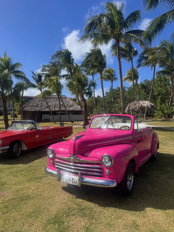 Sol Varadero Beach (Adults Only) фото 60