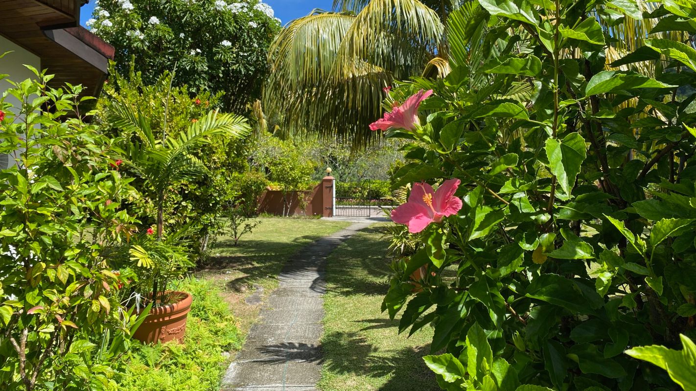 Beach Villas фото 60
