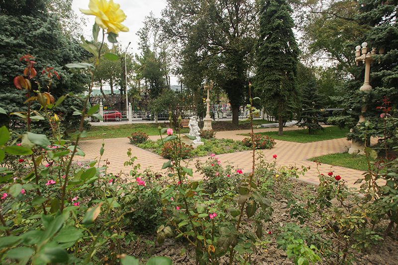 Санаторий «Жемчужина моря» фото 19