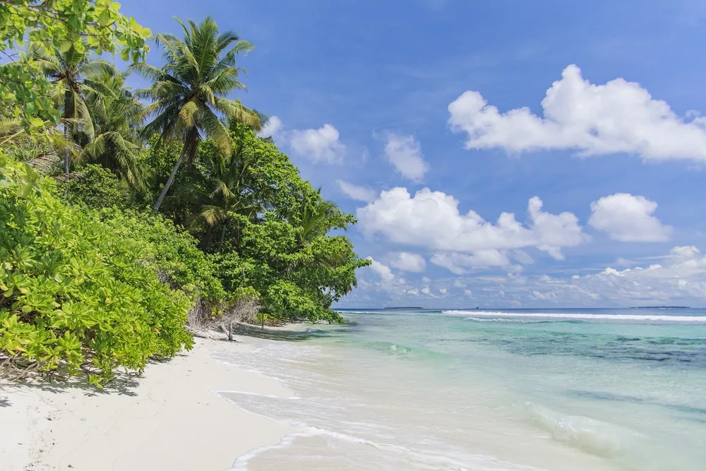 Dhonfulhafi Beach View & Spa фото 21