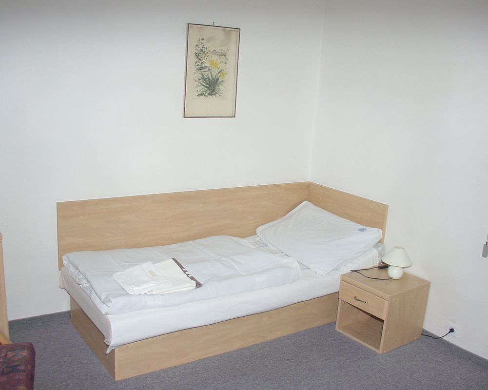 Hotel Libensky фото 18