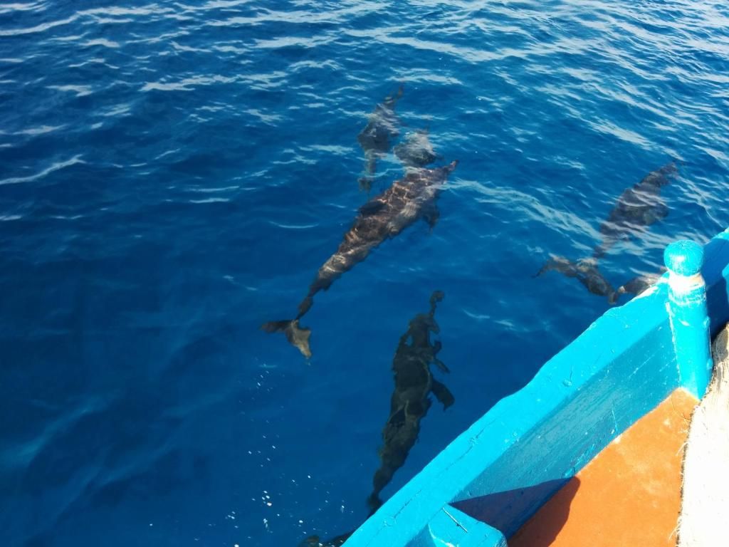 Vaali Island Escapes & Dive фото 47
