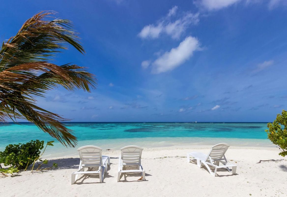 Guest House ««Plumeria Maldives» Guest House» фото 7
