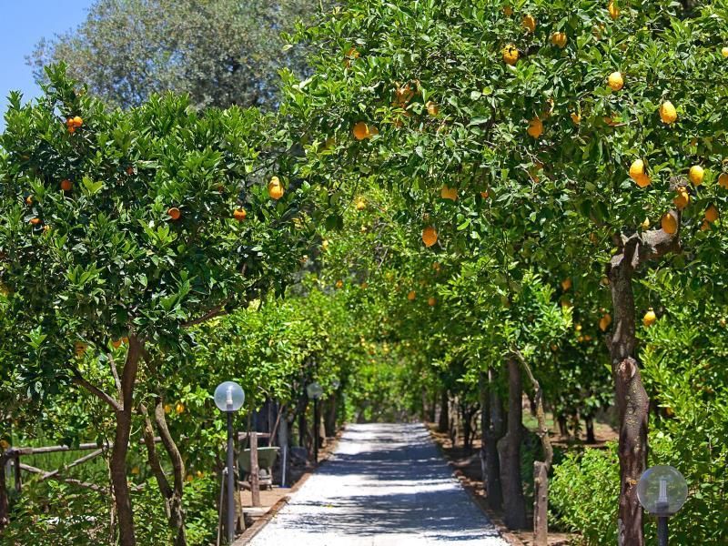 Villa Oriana Relais фото 8