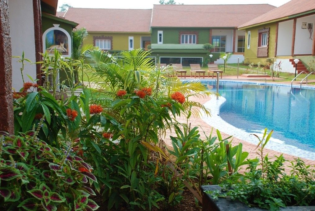 Ginger Tree Boutique Hotel фото 8