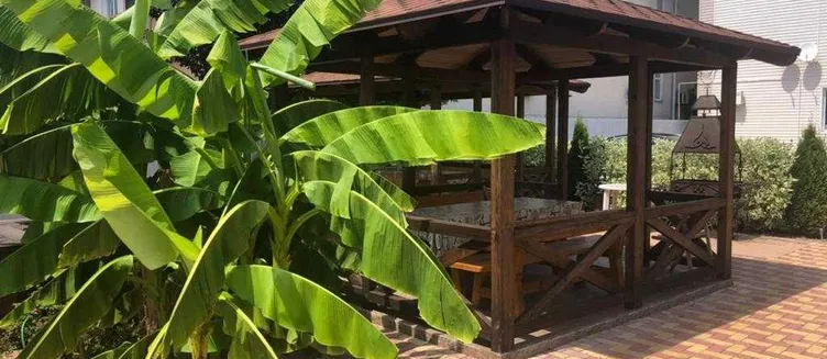 Фото отеля Дельфин