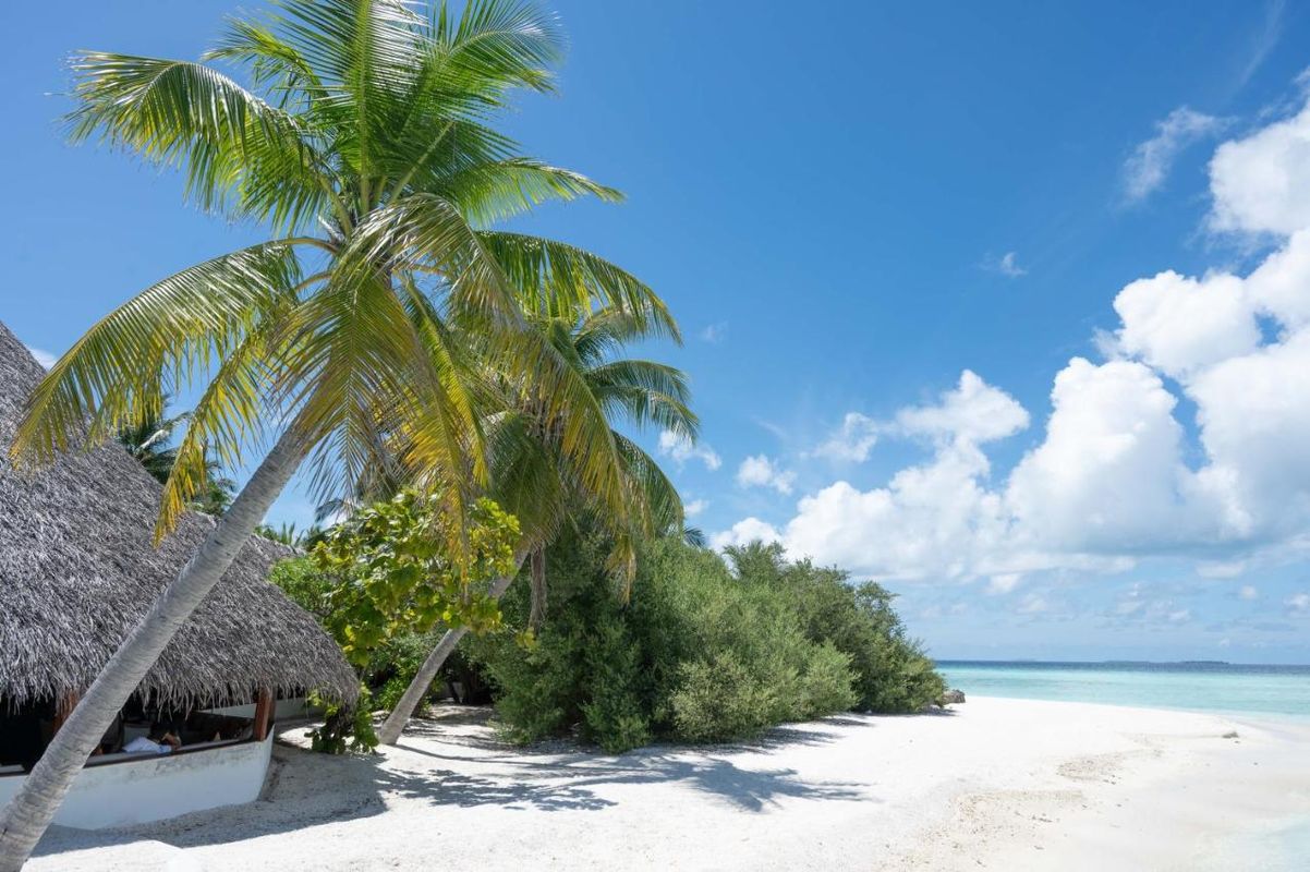 Makunudu Island (Adults Only) фото 25