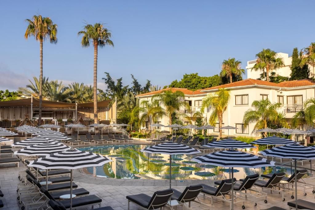 The King Jason Paphos (Adults Only) фото 26
