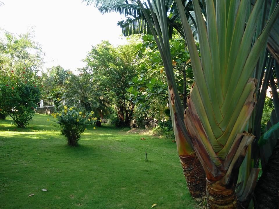 Cuu Long Phu Quoc Resort фото 36