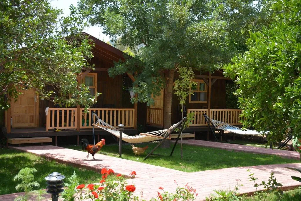 Гостевой дом «Caretta Caretta Pension» фото 3