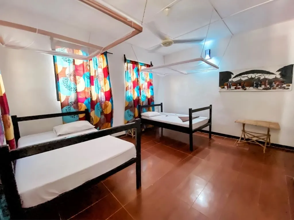 Guest House «Papaya Guest House Nungwi» фото 2