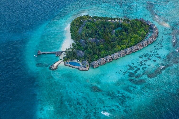 Taj Coral Reef Resort & Spa фото 67