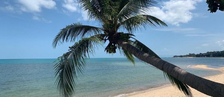 Фото отеля Sand Sea Beach Resort