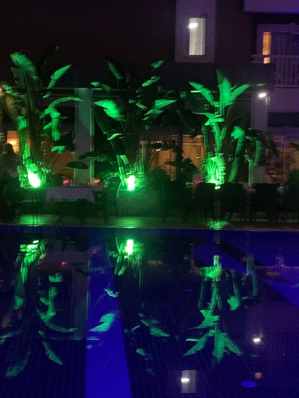 Viking Star Hotel фото 66