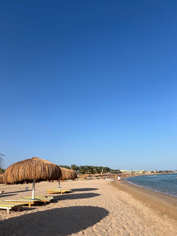 Sentido Caribbean World Resort Soma Bay фото 104