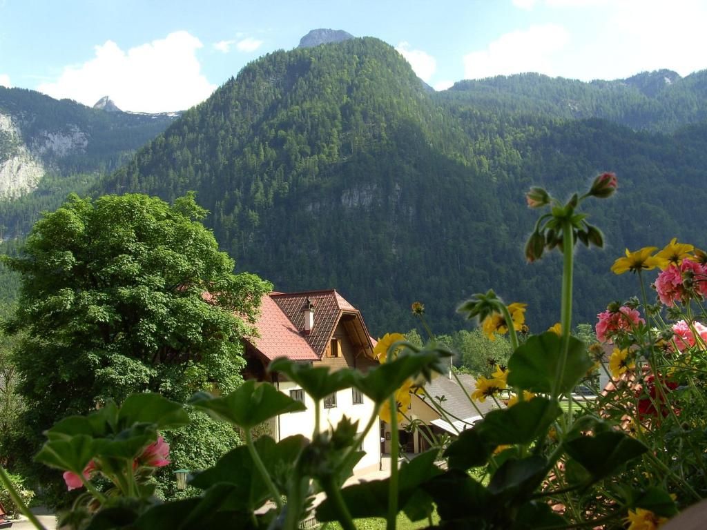 Haus Alpenrose фото 7