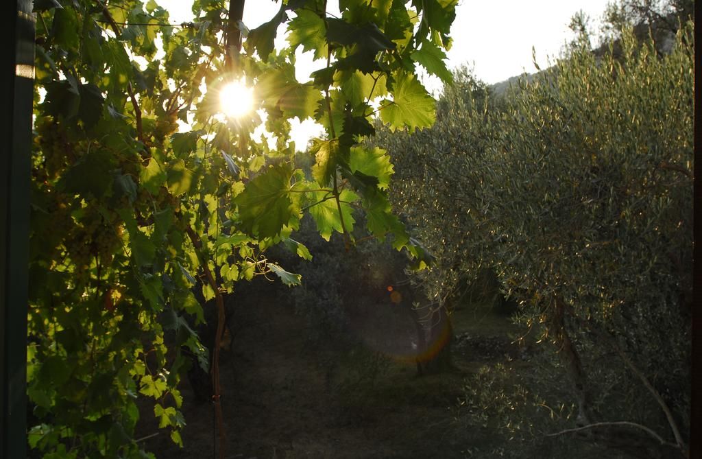Casa di Oliveto фото 15