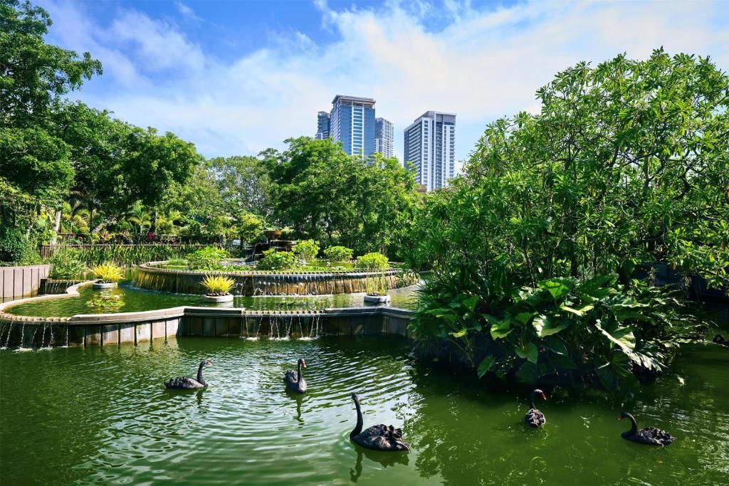 Hilton Colombo Hotel фото 50