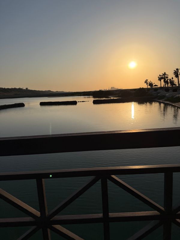 The Cove Rotana Resort фото 60