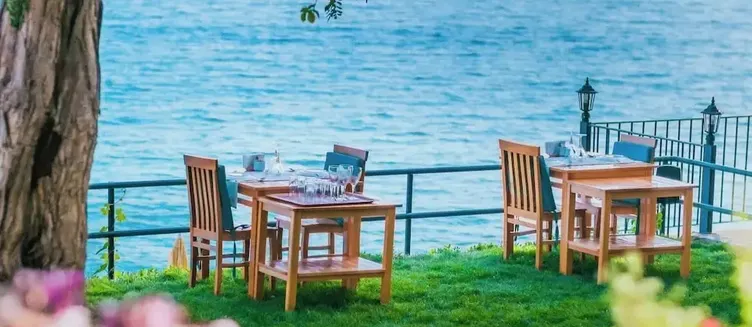 Фото отеля Sardunya Andifli Otel