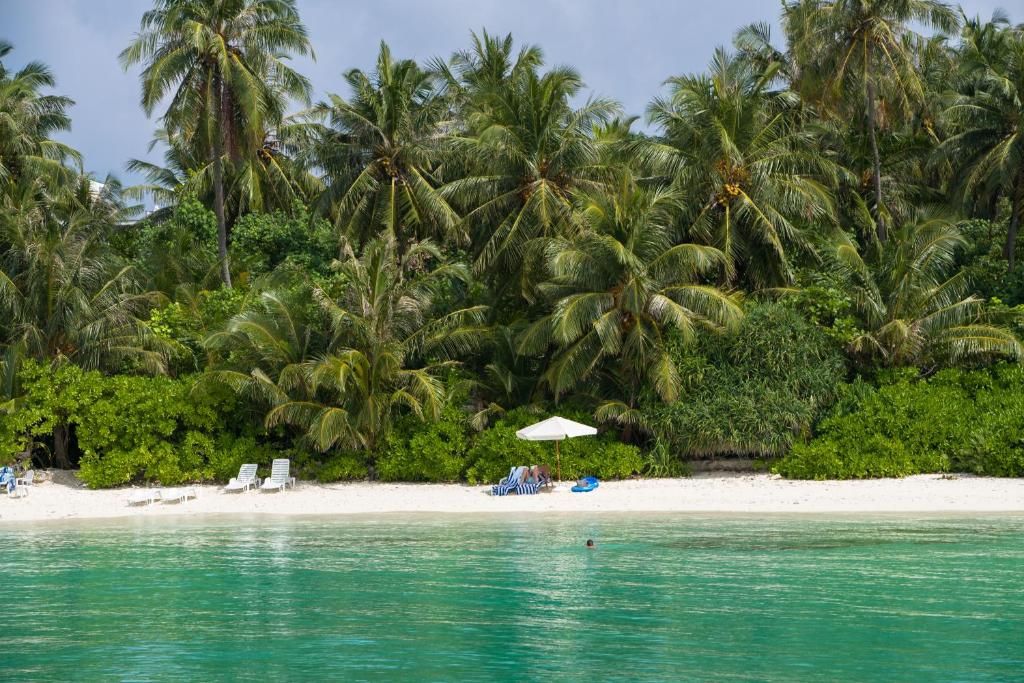 Dhiguveli Maldives фото 32