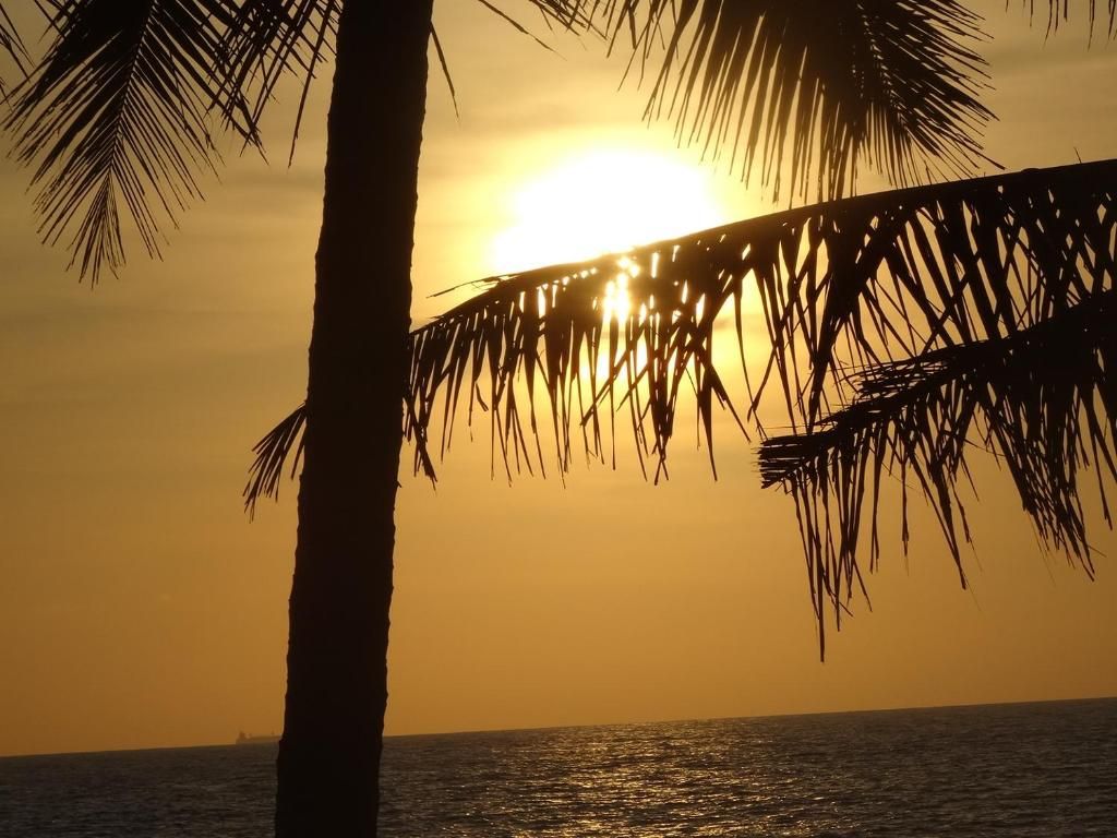 Amssler Beach Stay фото 28