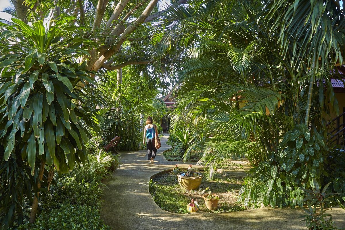 Natural Wing Health Spa & Resort фото 27