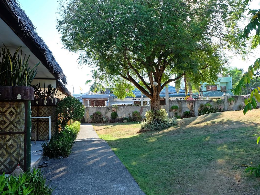 Alona Kew White Beach Resort фото 7
