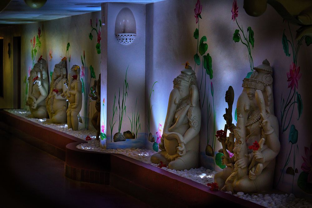 Karma Royal Haathi Mahal фото 44