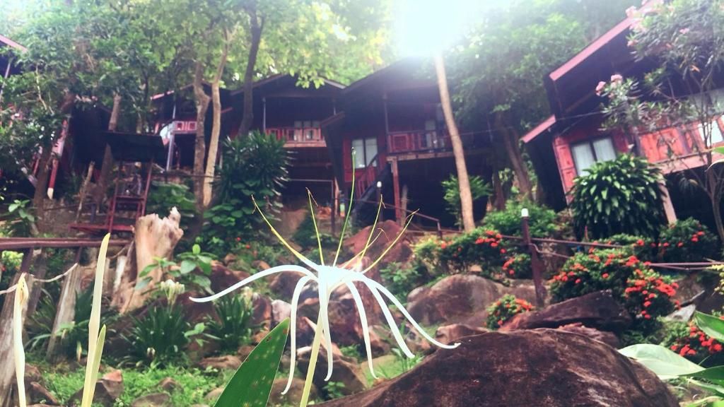 Maney Resort фото 29