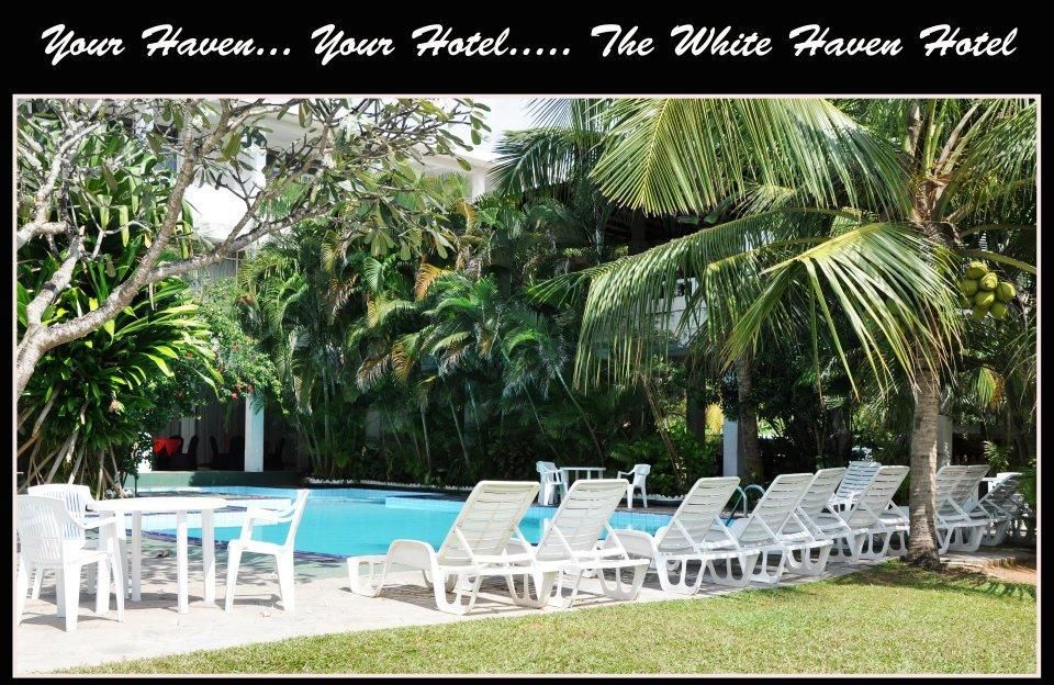 Hotel White Haven фото 3